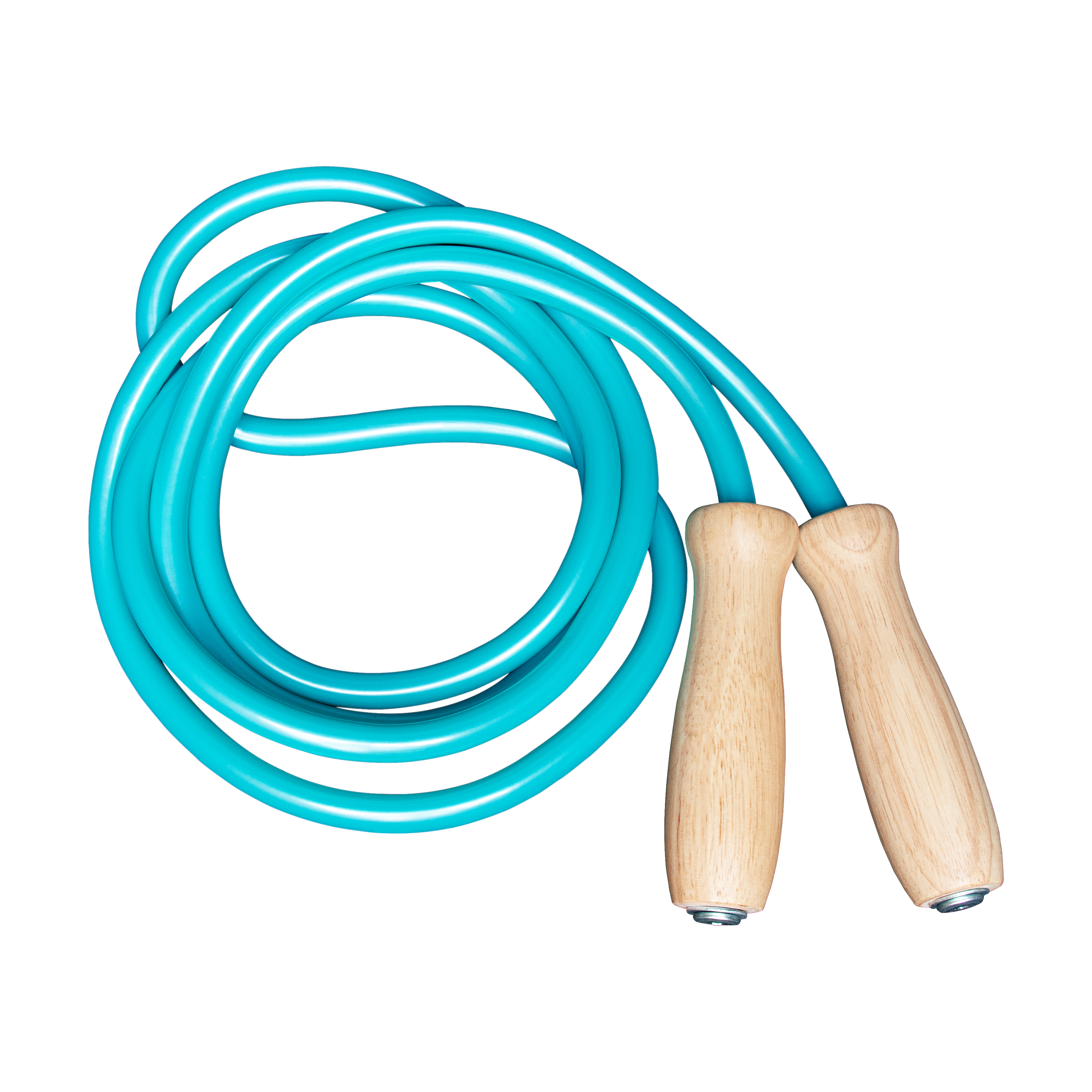 Dây nhảy thể lực - Weighted Jump Rope (450gram)