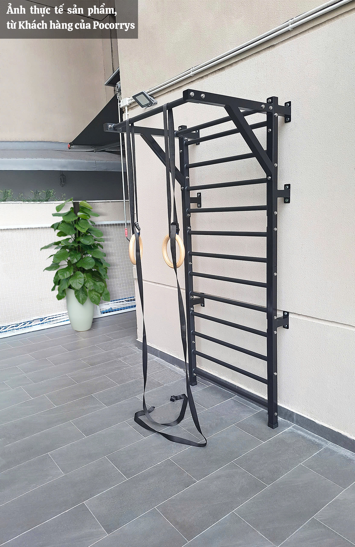 Thang gióng kết hợp với xà đơn - Stall bars STY (Yoga, Gymnastics)