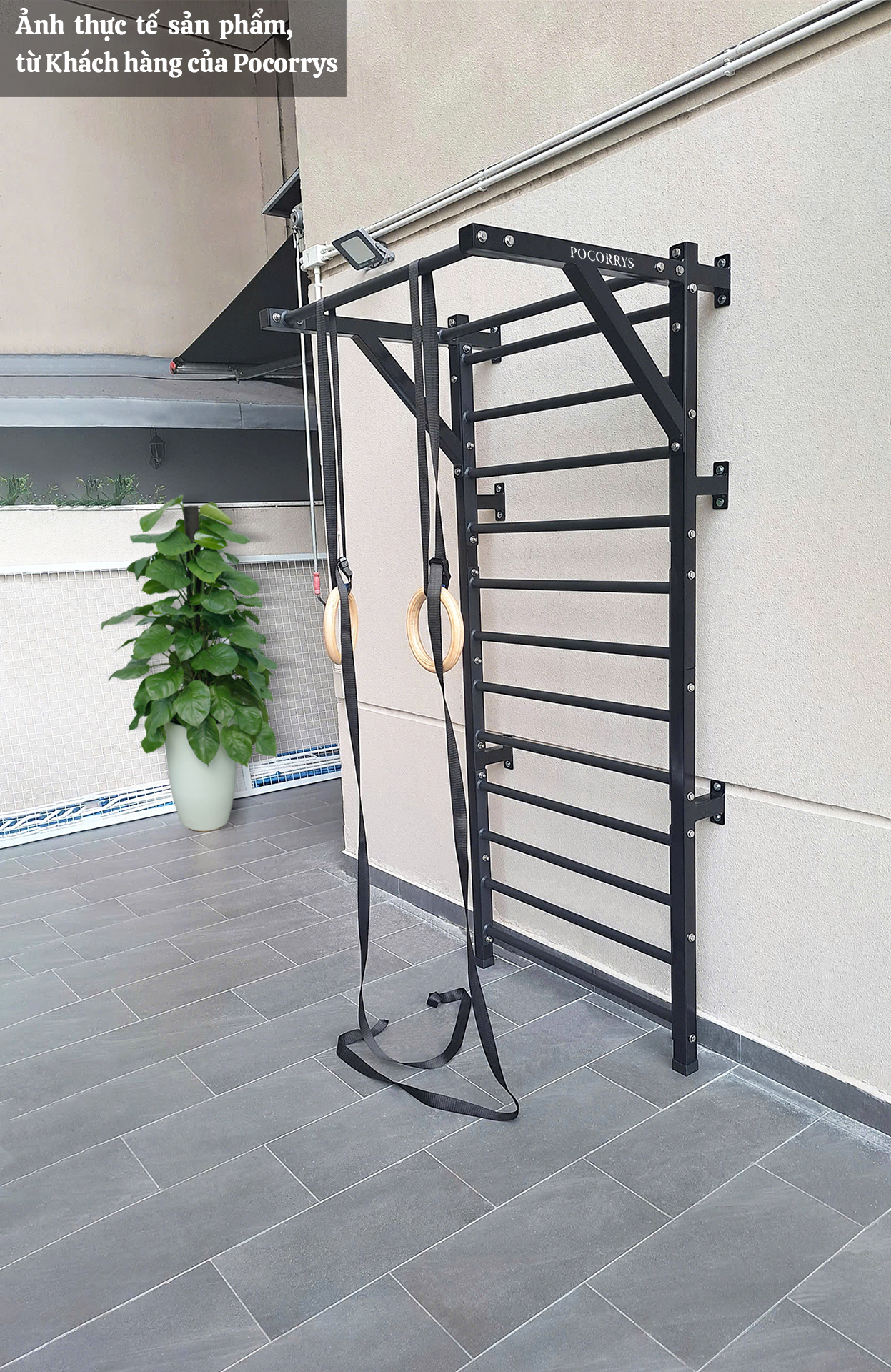 Thang gióng kết hợp với xà đơn - Stall bars STY (Yoga, Gymnastics)