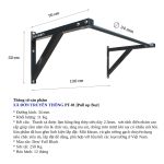 Wall mounted Pull up Bar PT