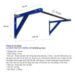 Wall mounted Pull up Bar PT